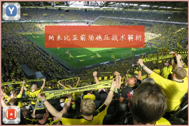 纳米比亚前场施压战术解析
