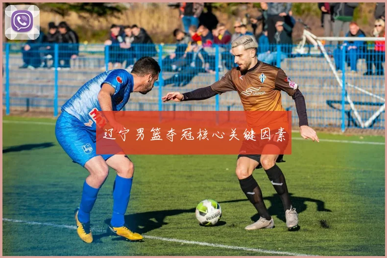辽宁男篮夺冠核心关键因素