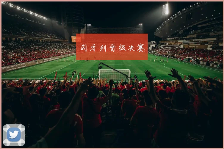 匈牙利晋级决赛