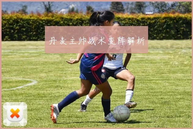 丹麦主帅战术变阵解析