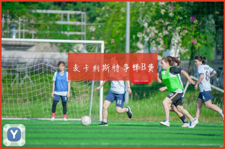 麦卡利斯特争锋B费