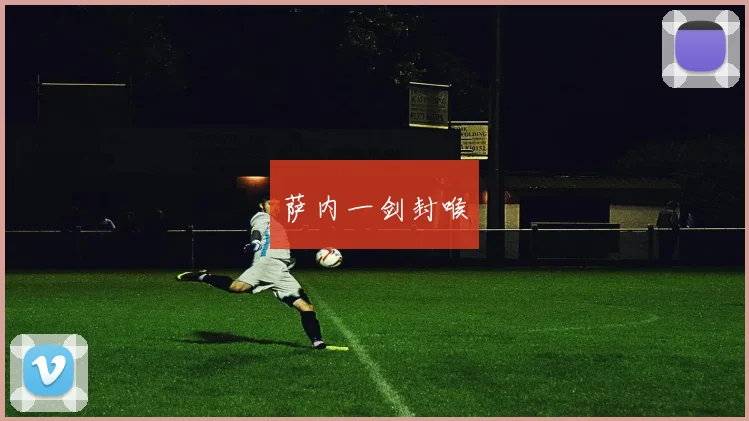 萨内一剑封喉
