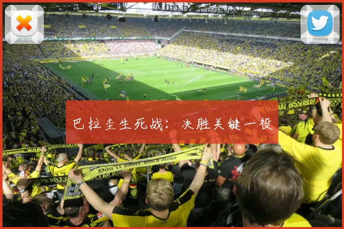 巴拉圭生死战：决胜关键一役