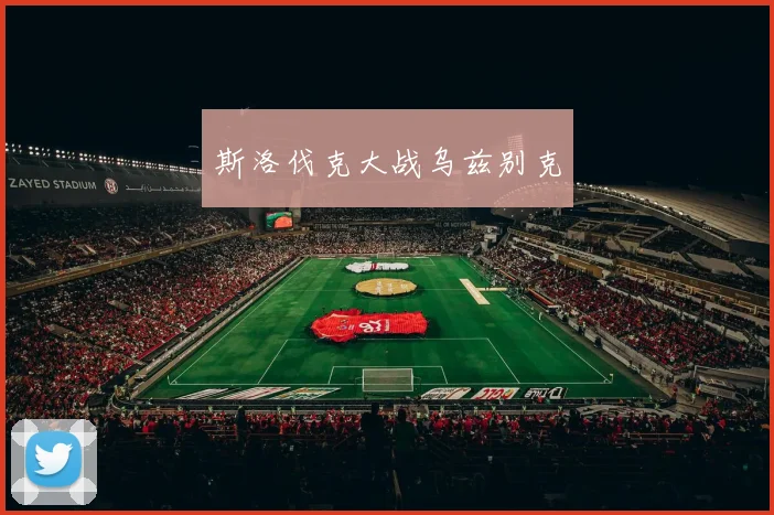 斯洛伐克大战乌兹别克
