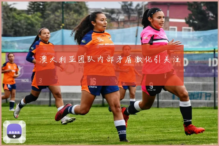 澳大利亚团队内部矛盾激化引关注