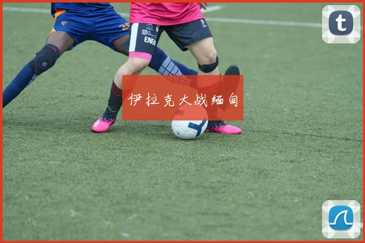 伊拉克大战缅甸