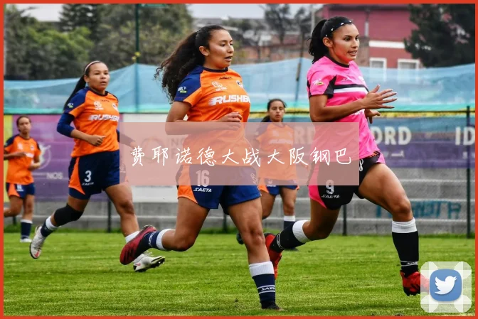 费耶诺德大战大阪钢巴
