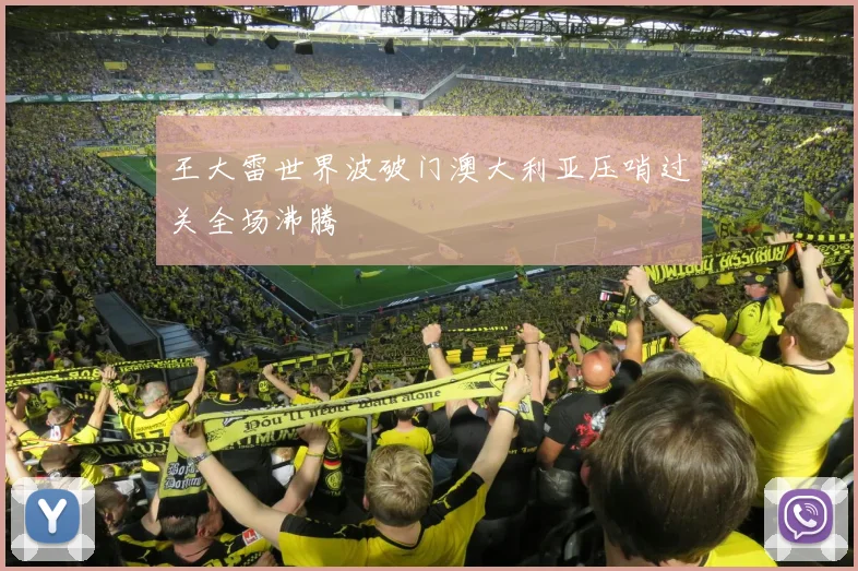 王大雷世界波破门澳大利亚压哨过关全场沸腾