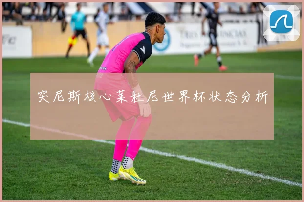 突尼斯核心莱杜尼世界杯状态分析