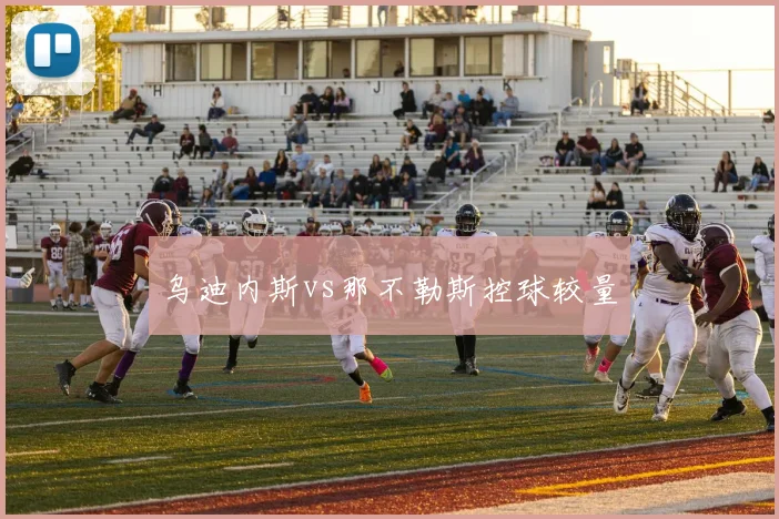 乌迪内斯vs那不勒斯控球较量